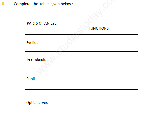 class 8 assignment science